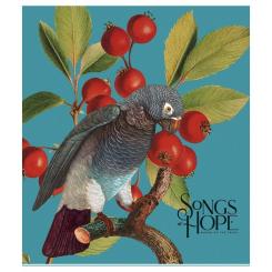 Тетрадь Школярик Birds 96 листов клетка 96 листов Фото