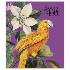 Тетрадь Школярик Birds 96 листов клетка 96 листов Фото 2