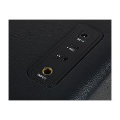 Комбоусилитель Mooer Hornet 15i Black Фото 3