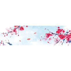 Книга BookChef Токійський дощ - Ясмін Шакарамі Фото 5