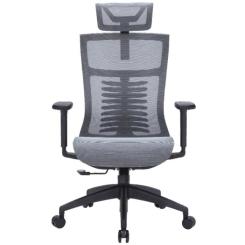 Офисное кресло OfficePro Balance OC620-B-DG-DG Фото