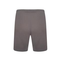 Шорты Puma teamRISE Short 704942-13 сірий M Фото 4