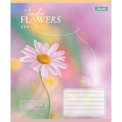 Тетрадь 1 вересня Tender Flowersg А5 60 листов клетка Фото 4