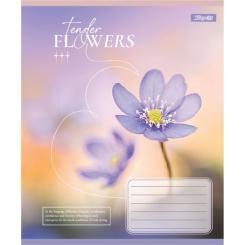 Тетрадь 1 вересня Tender Flowersg А5 60 листов клетка Фото 5