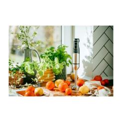 Блендер Adler AD 4628 Фото 9