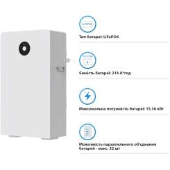 Батарея LiFePo4 Deye RW-F16 51.2V - 314Ah Фото 2