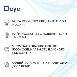 Батарея LiFePo4 Deye RW-F16 51.2V - 314Ah Фото 4