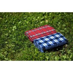 Плед Ardesto Picnic 130х170см, 100% полиэстер, клетка красная Фото 3
