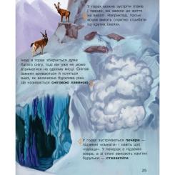 Книга Ранок Наша планета. Енциклопедія дошкільника - Юлія Касп Фото 11