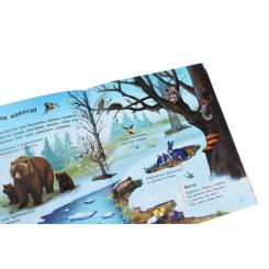 Книга Ранок Наша планета. Енциклопедія дошкільника - Юлія Касп Фото 4
