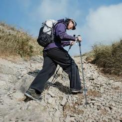 Треккинговые палки Naturehike CNK2450DS017, 120 см, сіра Фото 4