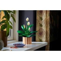 Конструктор LEGO Botanicals Спатифілум Фото 11