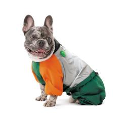 Дождевик для животных Pet Fashion Marlie SМ Фото 3
