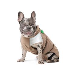 Жилет для животных Pet Fashion Chip S (такса) Фото 2