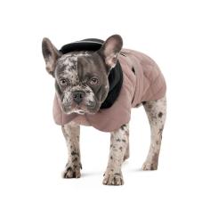 Попона для животных Pet Fashion Max S2 (такса) Фото 1