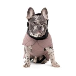 Попона для животных Pet Fashion Max S2 (такса) Фото 2