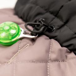 Попона для животных Pet Fashion Max S2 (такса) Фото 5