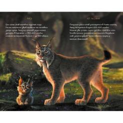 Книга Ранок Мавка. Щоденник. Літо Фото 3