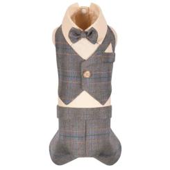 Костюм для животных Pet Fashion Happy XS2 Фото