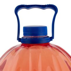 Омыватель автомобильный VITOL Дюшес 5л Фото 1