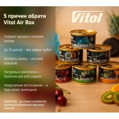 Ароматизатор для автомобиля VITOL Air Box Crystal Ice Фото 5