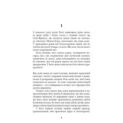Книга BookChef Усі відтінки темряви - Кріс Вітакер Фото 5