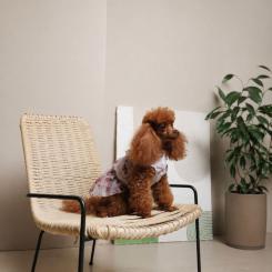 Платье для животных Pet Fashion Amelia S Фото 6