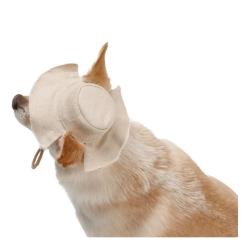 Кепка для животных Pet Fashion Gold XS Фото 3