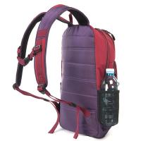 Рюкзак для ноутбука Tucano сумки 15.6 Tech-Yo BackPack /Red-Purple Фото 2