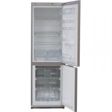 Холодильник Snaige RF31SM-S1MA21 Фото 1