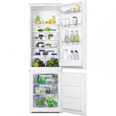 Холодильник Zanussi ZBB 928441 S Фото