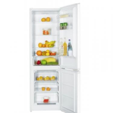 Холодильник Liberty HRF-335 W Фото 1