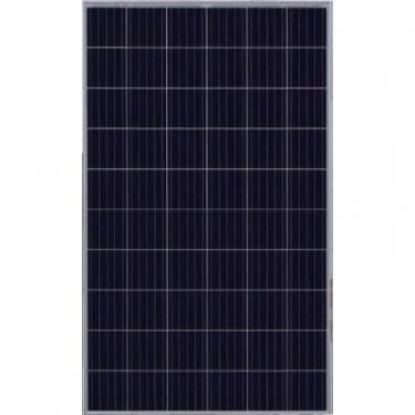 Солнечная панель JASolar 300W, Mono, 1000V Фото