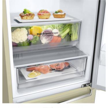 Холодильник LG GW-B509SEHZ Фото 9