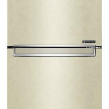 Холодильник LG GW-B509SEHZ Фото 6