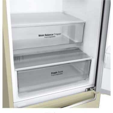 Холодильник LG GW-B509SEHZ Фото 7