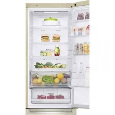 Холодильник LG GW-B509SEHZ Фото 8