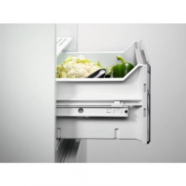 Холодильник Electrolux ENN3074EFW Фото 5