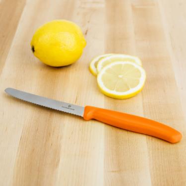 Кухонный нож Victorinox SwissClassic для нарезки 8 см, волнистое лезвие, о Фото 1