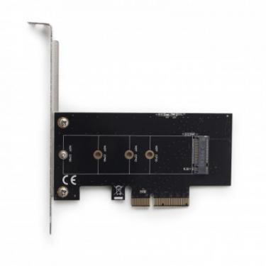 Контроллер Gembird PCIe to M.2 22 mm low profile Фото 1
