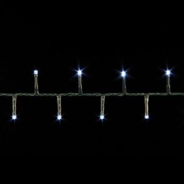 Гирлянда Luca Lighting Змійка, 10,4 м, холодний білий Фото 1