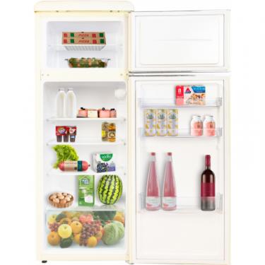 Холодильник Gunter&Hauer FN 275 B Фото 4