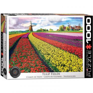 Пазл Eurographics Поле тюльпанов в Нидерландах 1000 элементов Фото