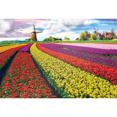 Пазл Eurographics Поле тюльпанов в Нидерландах 1000 элементов Фото 1