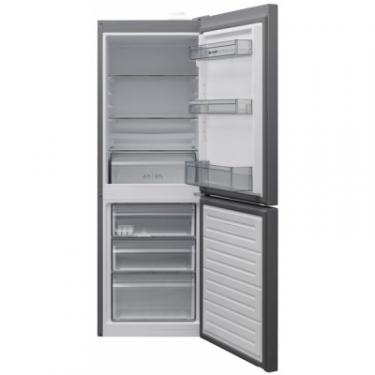 Холодильник Sharp SJ-BB02DTXL1-UA Фото 4