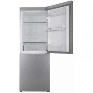 Холодильник Sharp SJ-BB02DTXL1-UA Фото 5