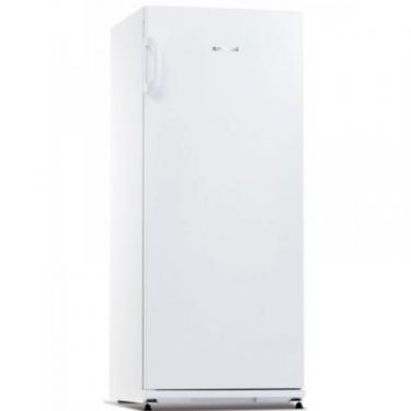 Холодильник Snaige C29SM-T1002G Фото