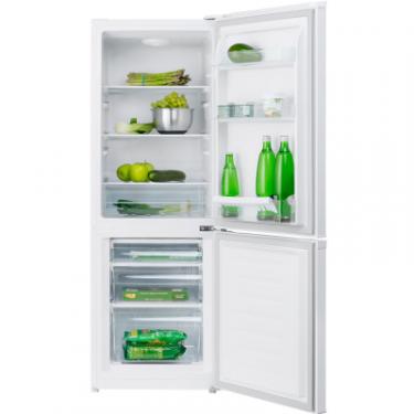 Холодильник Philco PC1652 Фото 1