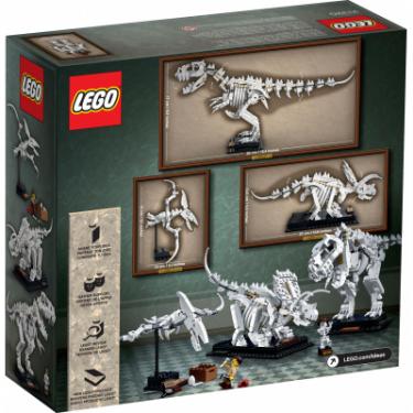 Конструктор LEGO Ideas Останки динозавра Фото 11