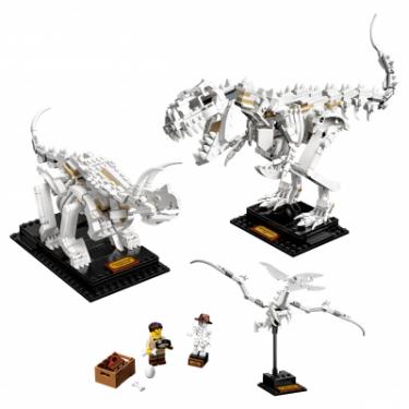 Конструктор LEGO Ideas Останки динозавра Фото 1